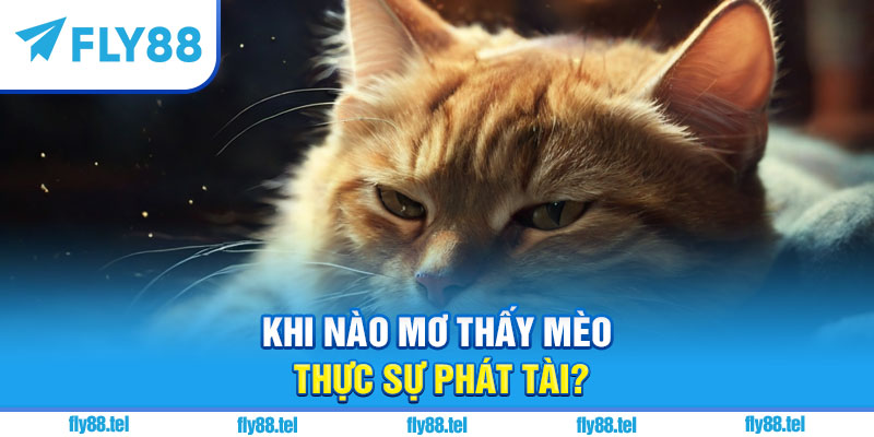 Nằm Mơ Thấy Mèo Là Điềm Gì? Giải Mã, Con Số Chuẩn 4 Khi nào mơ thấy mèo thực sự phát tài?