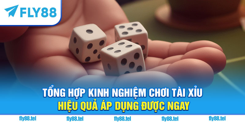 Kinh Nghiệm Chơi Tài Xỉu Hiệu Quả Vượt Trội 2025 3 Tổng hợp kinh nghiệm chơi tài xỉu hiệu quả